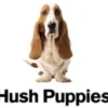 hush puppies hush puppies
