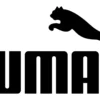 puma puma la estación ibague