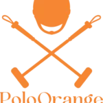 polo orange la estacion ibague